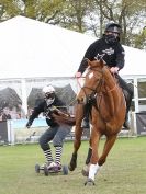 Image 31 in HORSE BOARDING. EA GAME & COUNTRY FAIR APRIL 2015