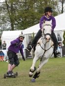 Image 33 in HORSE BOARDING.  EA GAME & COUNTRY FAIR APRIL 2015