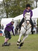 Image 33 in HORSE BOARDING. EA GAME & COUNTRY FAIR APRIL 2015