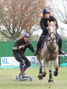 Image 35 in HORSE BOARDING. EA GAME & COUNTRY FAIR APRIL 2015