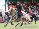 Image 36 in HORSE BOARDING. EA GAME & COUNTRY FAIR APRIL 2015