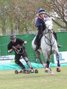 Image 38 in HORSE BOARDING. EA GAME & COUNTRY FAIR APRIL 2015