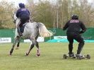 Image 39 in HORSE BOARDING. EA GAME & COUNTRY FAIR APRIL 2015