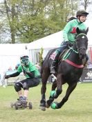 Image 4 in HORSE BOARDING. EA GAME & COUNTRY FAIR APRIL 2015