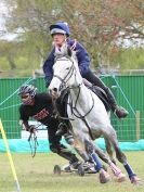 Image 40 in HORSE BOARDING. EA GAME & COUNTRY FAIR APRIL 2015