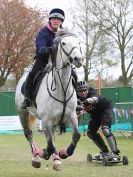 Image 41 in HORSE BOARDING.  EA GAME & COUNTRY FAIR APRIL 2015