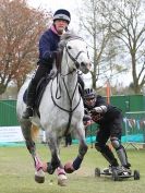 Image 41 in HORSE BOARDING. EA GAME & COUNTRY FAIR APRIL 2015