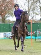 Image 42 in HORSE BOARDING. EA GAME & COUNTRY FAIR APRIL 2015