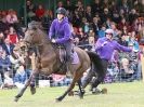 Image 43 in HORSE BOARDING. EA GAME & COUNTRY FAIR APRIL 2015