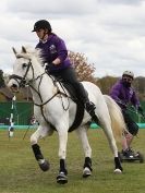 Image 6 in HORSE BOARDING.  EA GAME & COUNTRY FAIR APRIL 2015