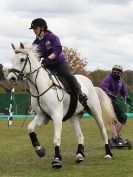 Image 6 in HORSE BOARDING. EA GAME & COUNTRY FAIR APRIL 2015