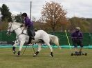 Image 7 in HORSE BOARDING.  EA GAME & COUNTRY FAIR APRIL 2015