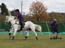 Image 7 in HORSE BOARDING. EA GAME & COUNTRY FAIR APRIL 2015