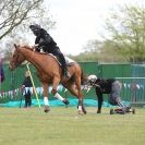 Image 9 in HORSE BOARDING.  EA GAME & COUNTRY FAIR APRIL 2015