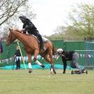 Image 9 in HORSE BOARDING. EA GAME & COUNTRY FAIR APRIL 2015