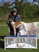 Image 4 in WCRA CHAMPIONSHIPS MAY 2015 PRESENTATIONS. GALLERY COMPLETE.