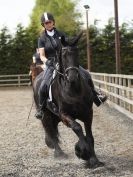Image 10 in JULIE LONG AND HER FRIESIAN, KEES.