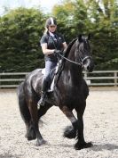 Image 11 in JULIE LONG AND HER FRIESIAN, KEES.