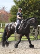 Image 13 in JULIE LONG AND HER FRIESIAN, KEES.