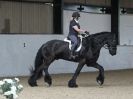 Image 19 in JULIE LONG AND HER FRIESIAN, KEES.