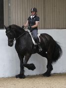 Image 23 in JULIE LONG AND HER FRIESIAN, KEES.