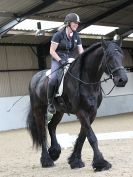 Image 28 in JULIE LONG AND HER FRIESIAN, KEES.