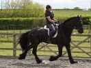 Image 3 in JULIE LONG AND HER FRIESIAN, KEES.