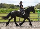 Image 4 in JULIE LONG AND HER FRIESIAN, KEES.