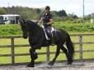 Image 5 in JULIE LONG AND HER FRIESIAN, KEES.