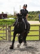 Image 6 in JULIE LONG AND HER FRIESIAN, KEES.