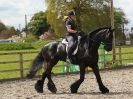 Image 7 in JULIE LONG AND HER FRIESIAN, KEES.