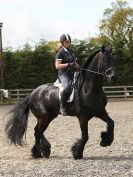 Image 8 in JULIE LONG AND HER FRIESIAN, KEES.