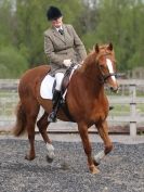 Image 2 in BROADS EC  DRESSAGE  9 MAY 2915