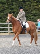 Image 4 in BROADS EC DRESSAGE 9 MAY 2915