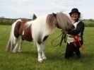 REDWINGS SHOW AT TOPTHORN  17 MAY 2015