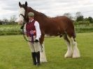 Image 10 in REDWINGS SHOW AT TOPTHORN  17 MAY 2015