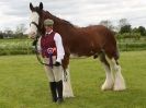 Image 10 in REDWINGS SHOW AT TOPTHORN 17 MAY 2015