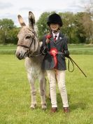Image 14 in REDWINGS SHOW AT TOPTHORN 17 MAY 2015