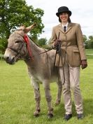 Image 15 in REDWINGS SHOW AT TOPTHORN 17 MAY 2015