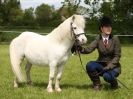 Image 30 in REDWINGS SHOW AT TOPTHORN 17 MAY 2015