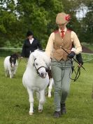 Image 31 in REDWINGS SHOW AT TOPTHORN  17 MAY 2015