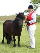 Image 36 in REDWINGS SHOW AT TOPTHORN  17 MAY 2015