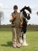 Image 39 in REDWINGS SHOW AT TOPTHORN  17 MAY 2015