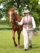 Image 41 in REDWINGS SHOW AT TOPTHORN  17 MAY 2015