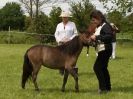 Image 43 in REDWINGS SHOW AT TOPTHORN  17 MAY 2015