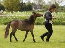 Image 44 in REDWINGS SHOW AT TOPTHORN  17 MAY 2015