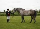 Image 5 in REDWINGS SHOW AT TOPTHORN 17 MAY 2015