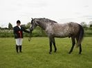 Image 5 in REDWINGS SHOW AT TOPTHORN  17 MAY 2015