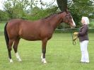 Image 55 in REDWINGS SHOW AT TOPTHORN  17 MAY 2015