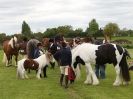 Image 57 in REDWINGS SHOW AT TOPTHORN  17 MAY 2015